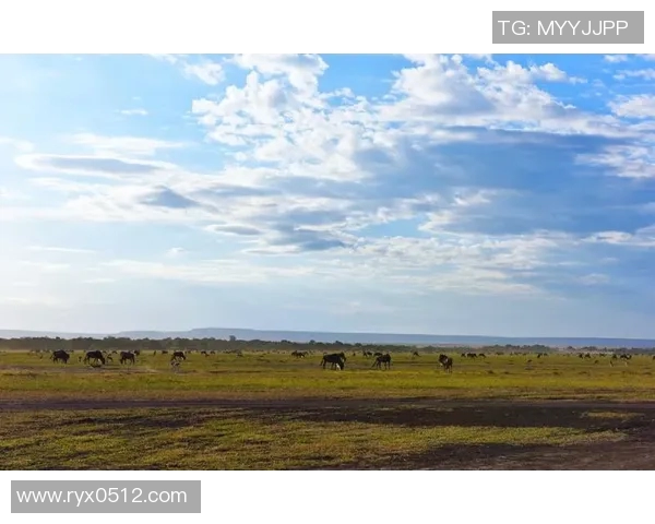 肯尼亚与坦桑尼亚的足球对决：历史战绩与未来展望