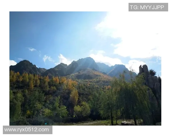 360库尔德人对阵赫根的精彩对决分析与赛后点评 360库尔德人对阵赫根的精彩对决分析与赛后点评