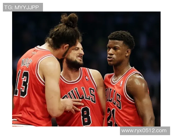 2013年公牛队与其他球队的精彩对决回顾与分析