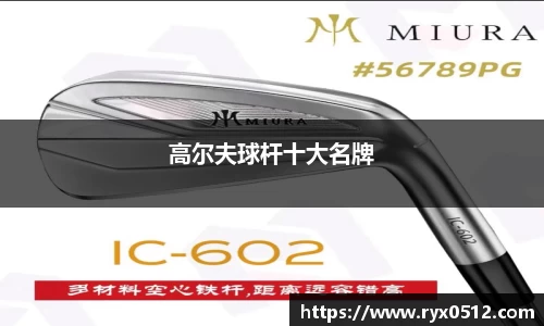 高尔夫球杆十大名牌