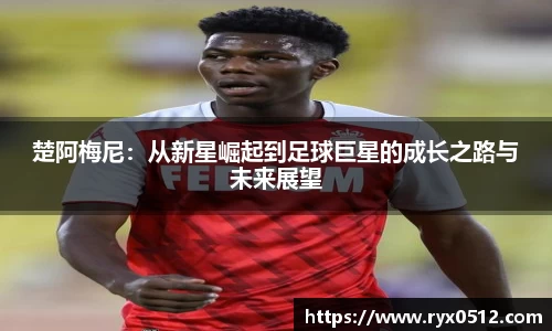 楚阿梅尼：从新星崛起到足球巨星的成长之路与未来展望
